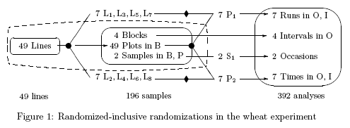 Randomization diagram for wheat experiment